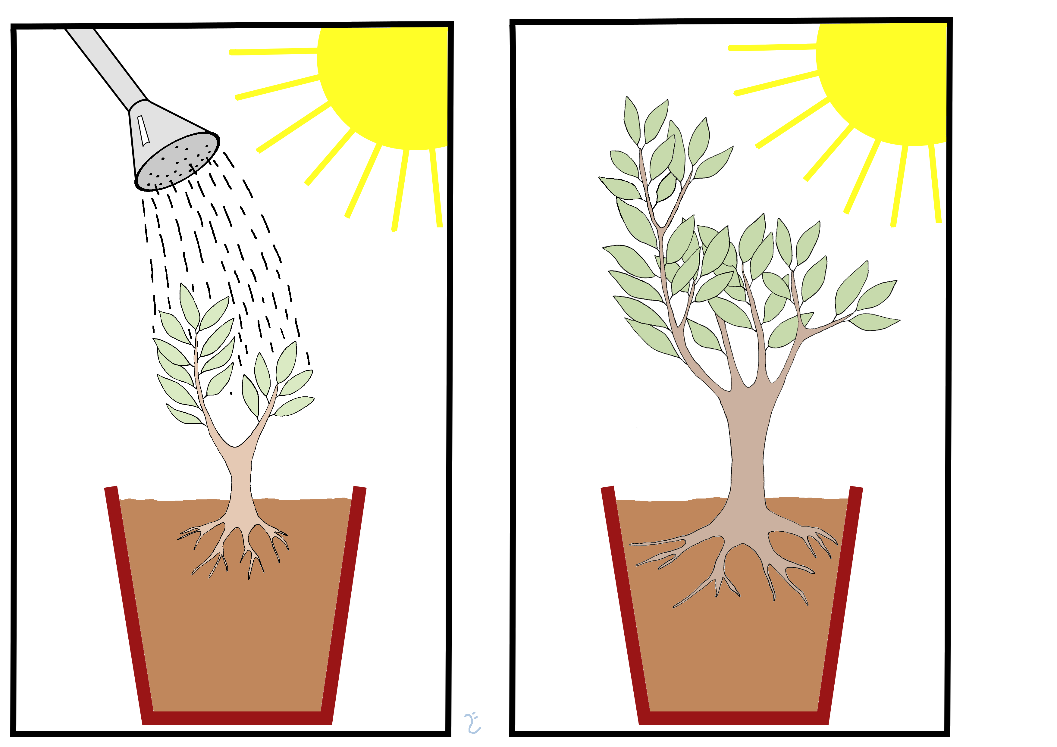 Illustration of the willow tree experiment. By Lars Ebbersmeyer.