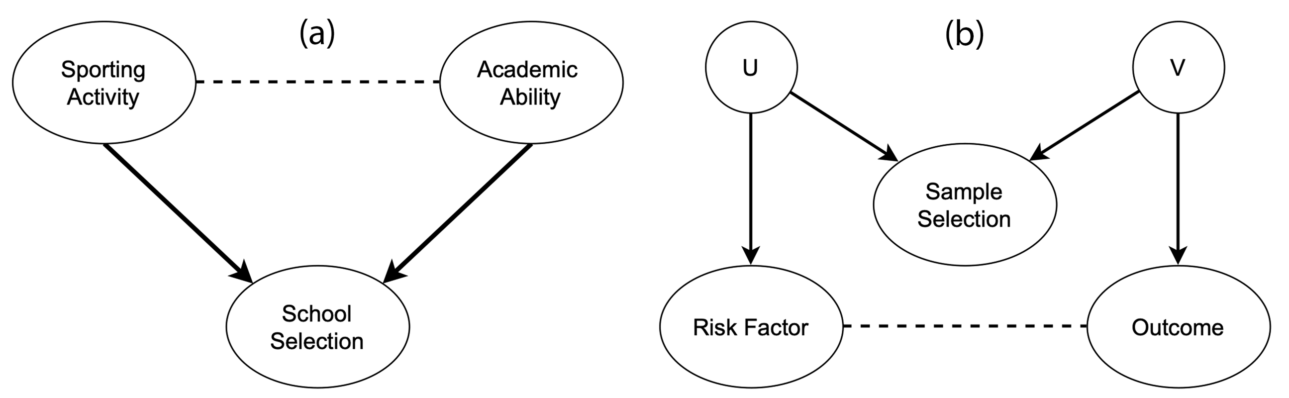 Directed arrows indicate causal effects and dotted lines indicate induced associations. (a) shows a scenario in which collider bias could distort the estimate of the causal effect of sporting activity on the academic ability. As shown in (b), the relation between the two associated variables can be indirect, with the risk factor and the outcome being indirectly associated with sample selection through unmeasured confounding variables (U and V).
