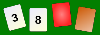 Wason selection task or four-card problem.